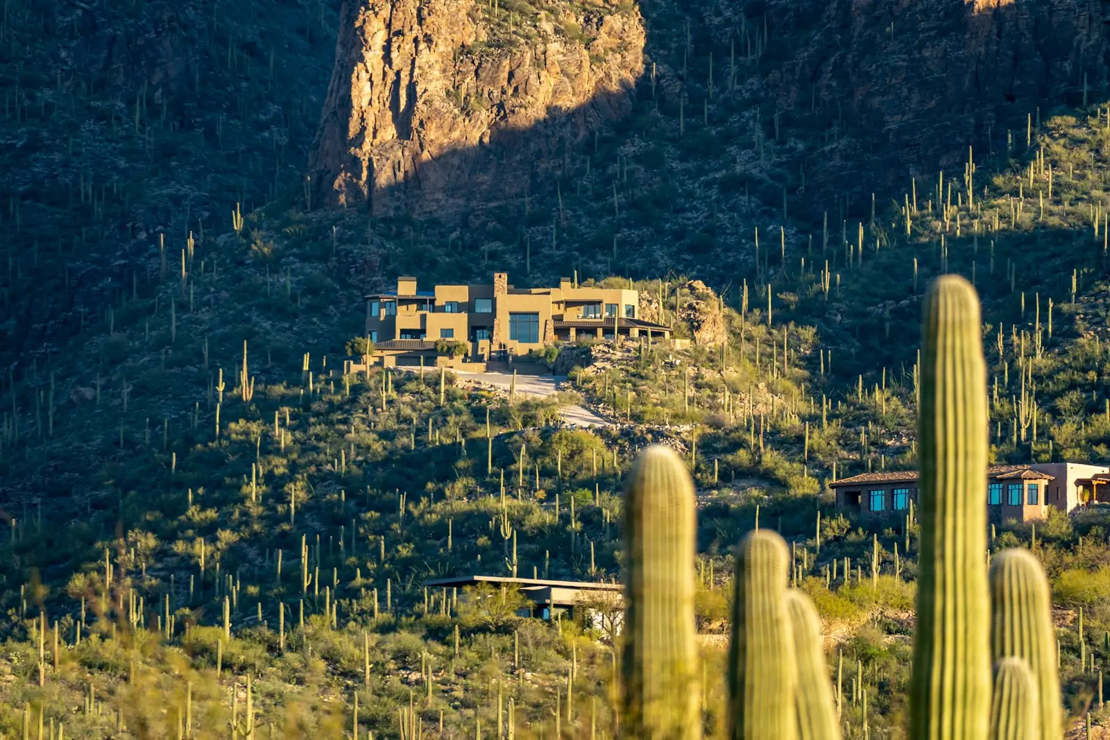 Desert home on a hillside with saguaro cactus near Tucson, Arizona