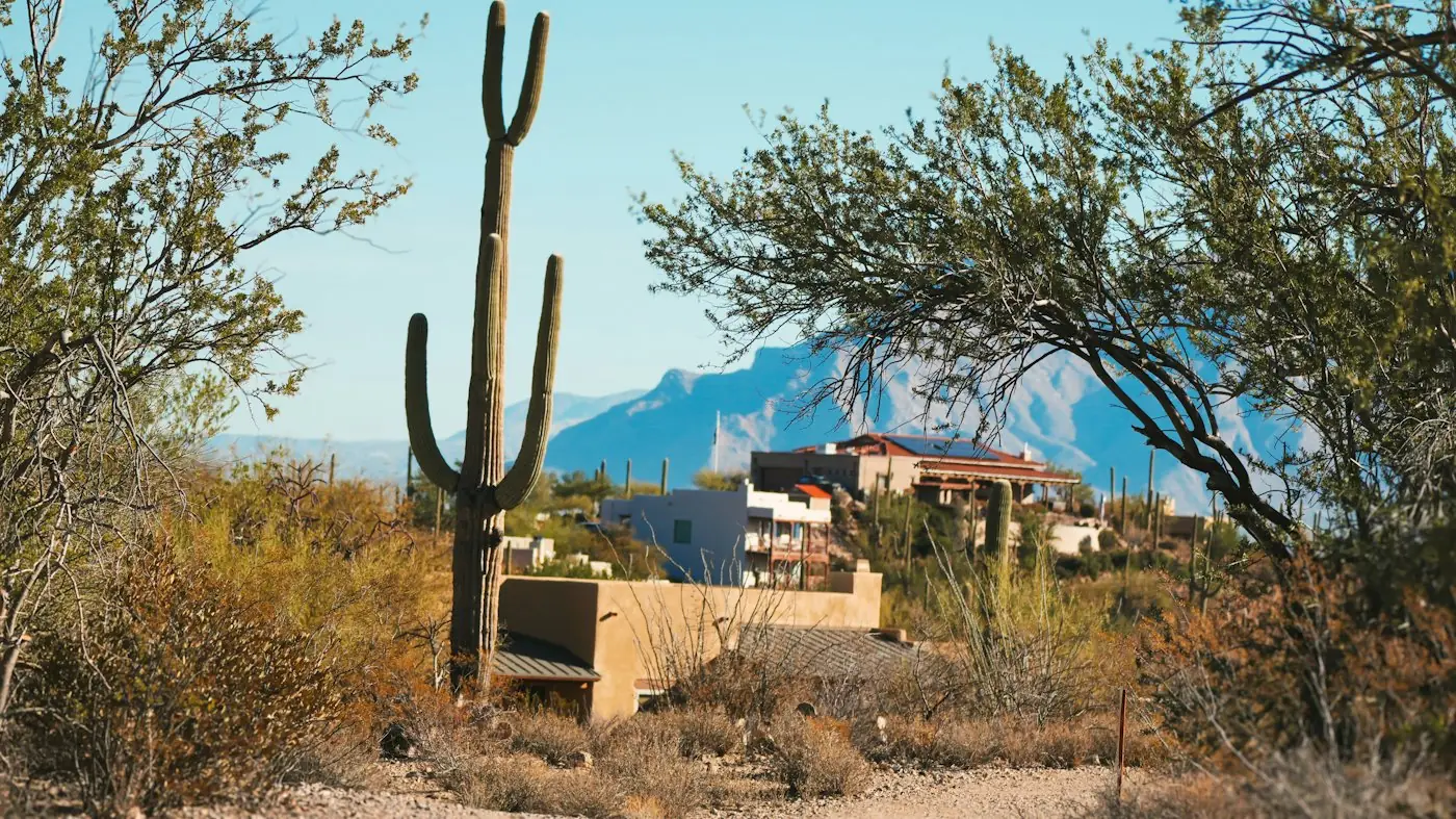 Saguaro cactus and desert homes with mountains near Tucson
